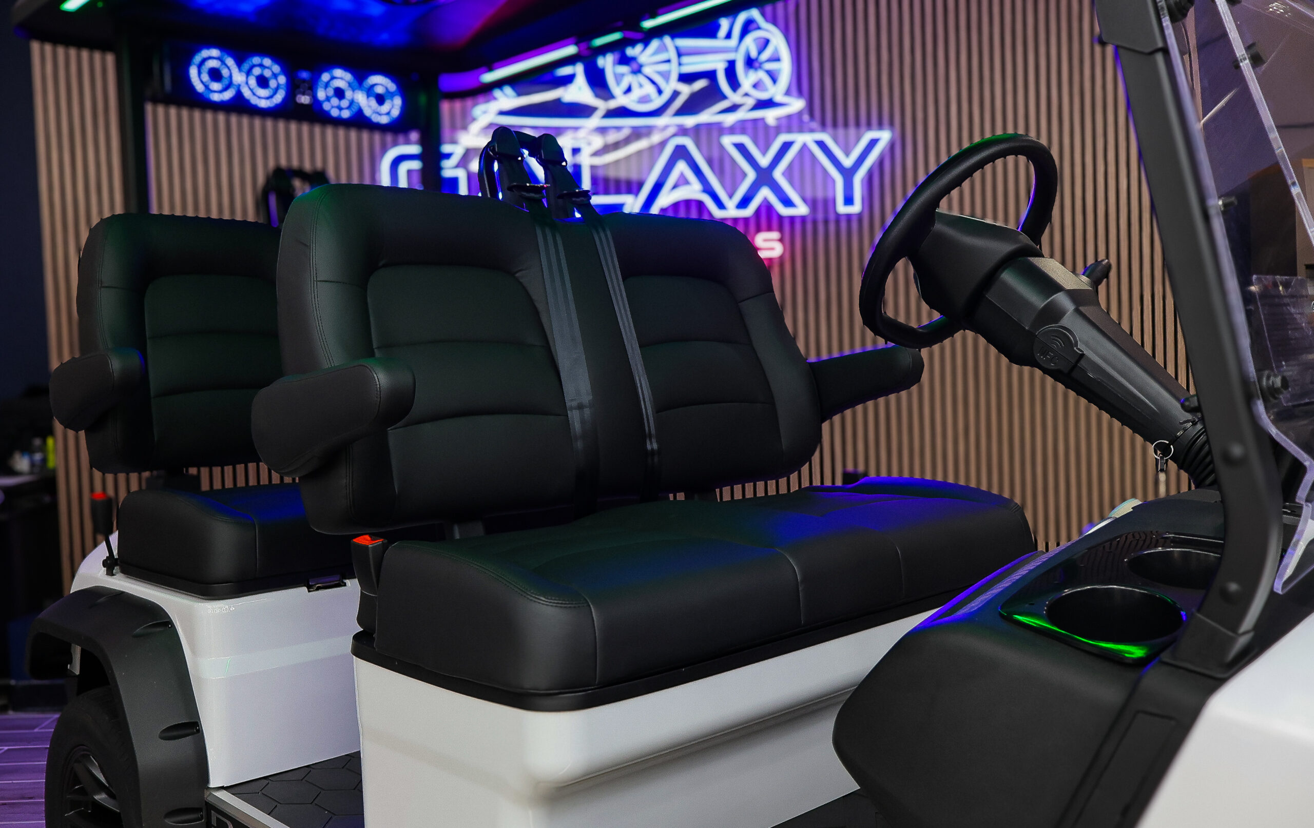 Dach Apollo Golf Cart/LSV - Image 12