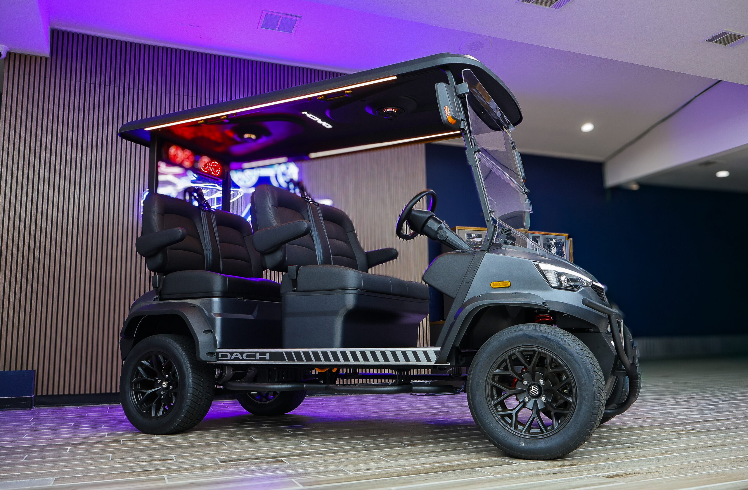 Dach Apollo Golf Cart/LSV - Image 2