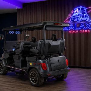 2026 Dach Apollo Gen 2 4 Seater (Matte Gray & Black)