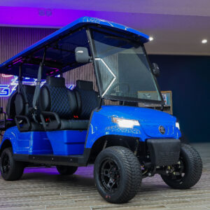2025 Epic E60 Golf Cart/LSV