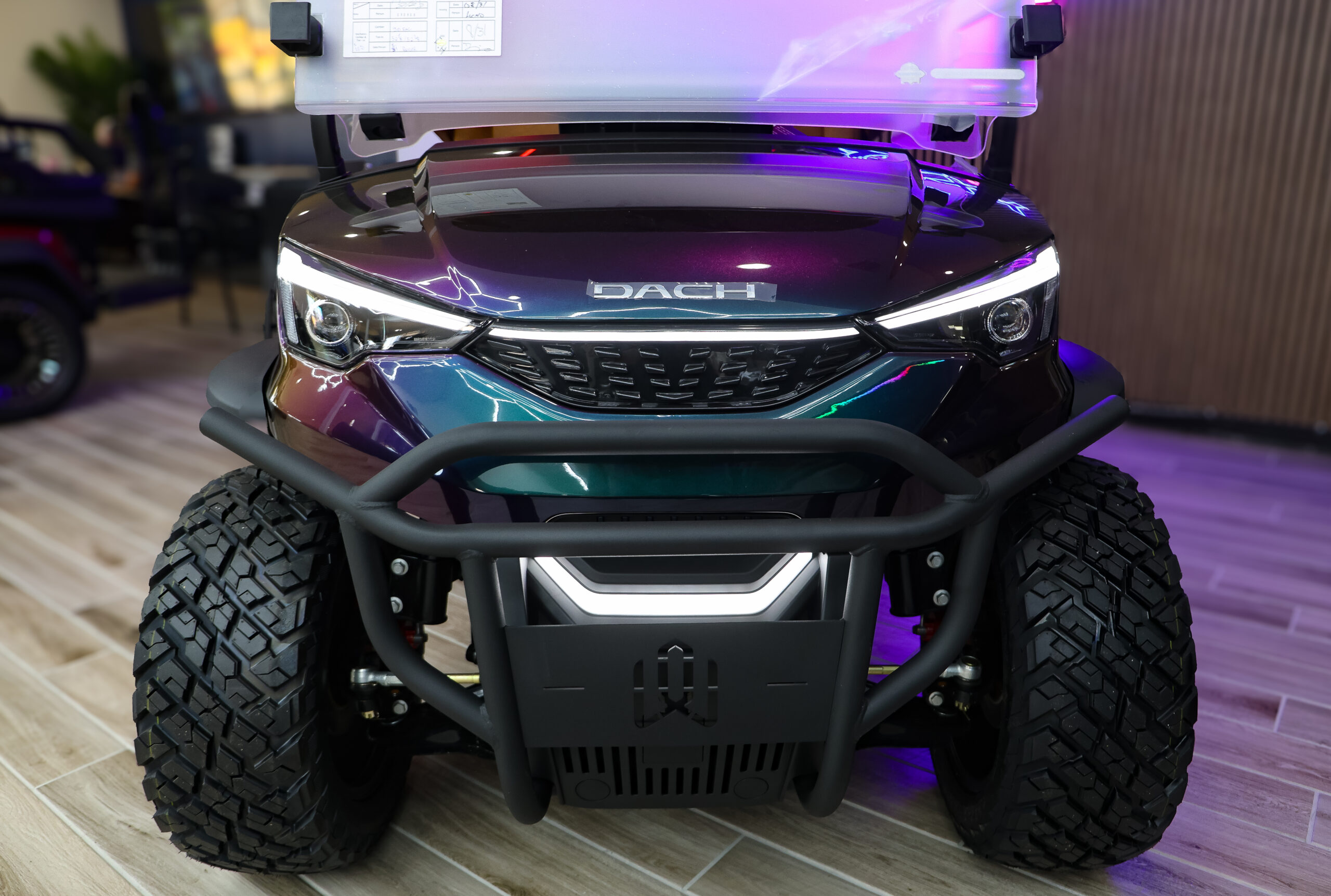 2026 Dach Apollo photo 2