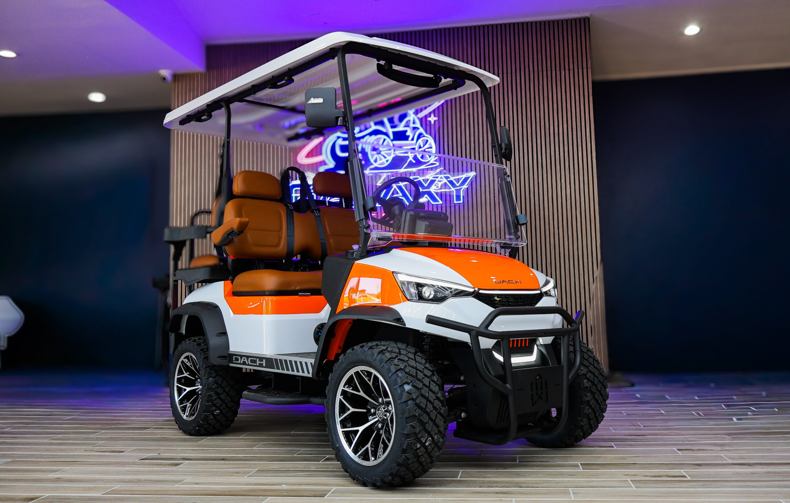 2026 Dach Falcon X Longhorn Golf Cart/LSV - Image 3