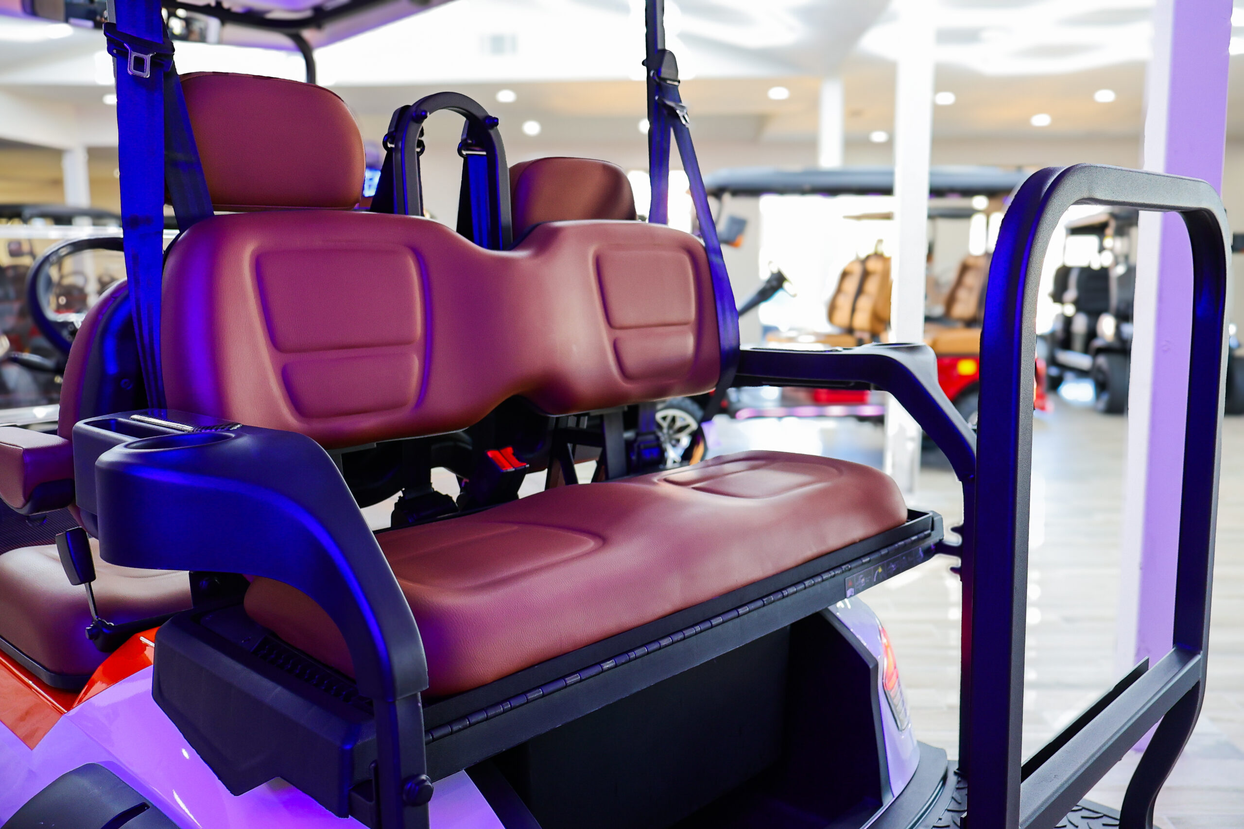 2026 Dach Falcon X Longhorn Golf Cart/LSV - Image 6