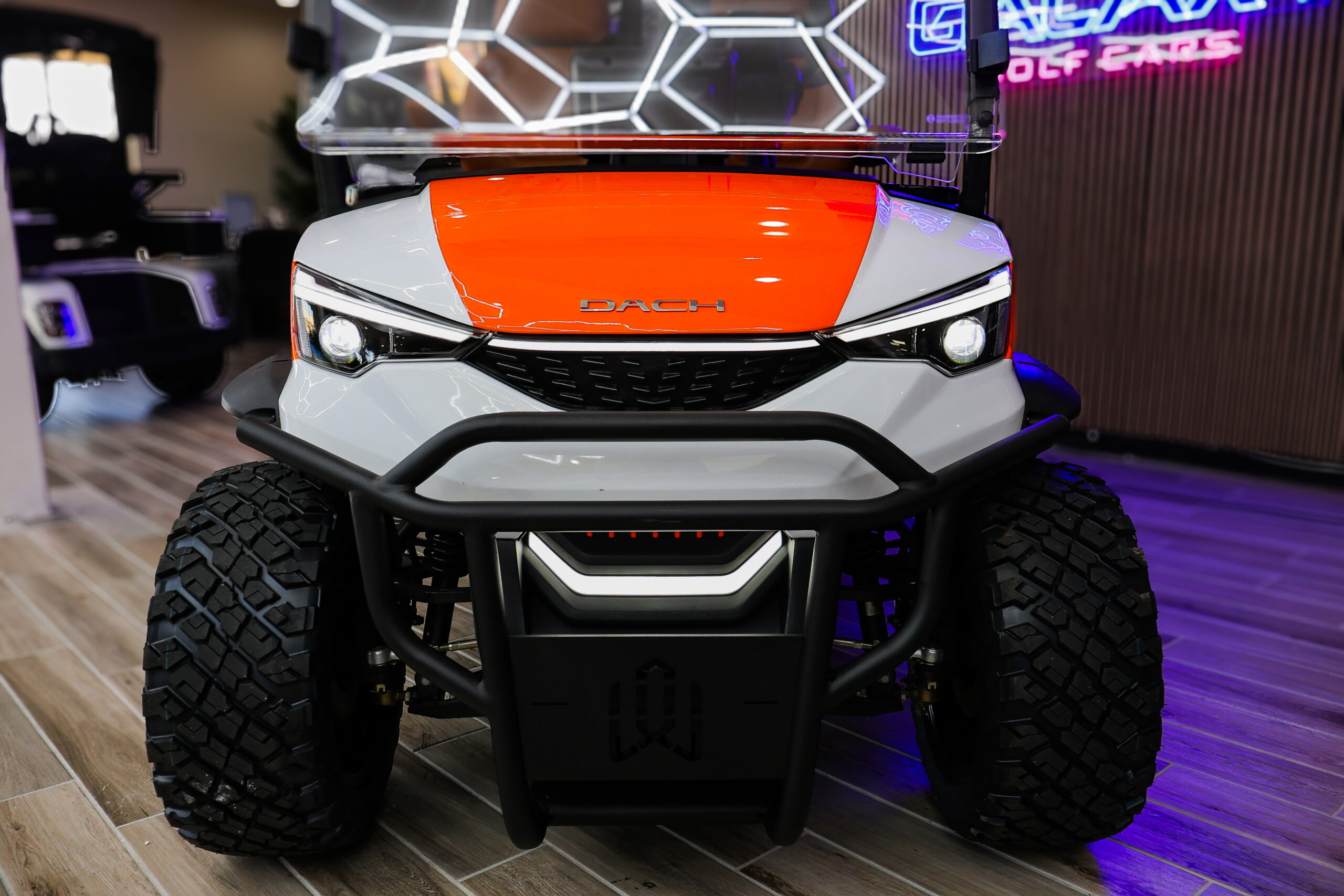 2026 Dach Falcon X Longhorn Golf Cart/LSV - Image 4