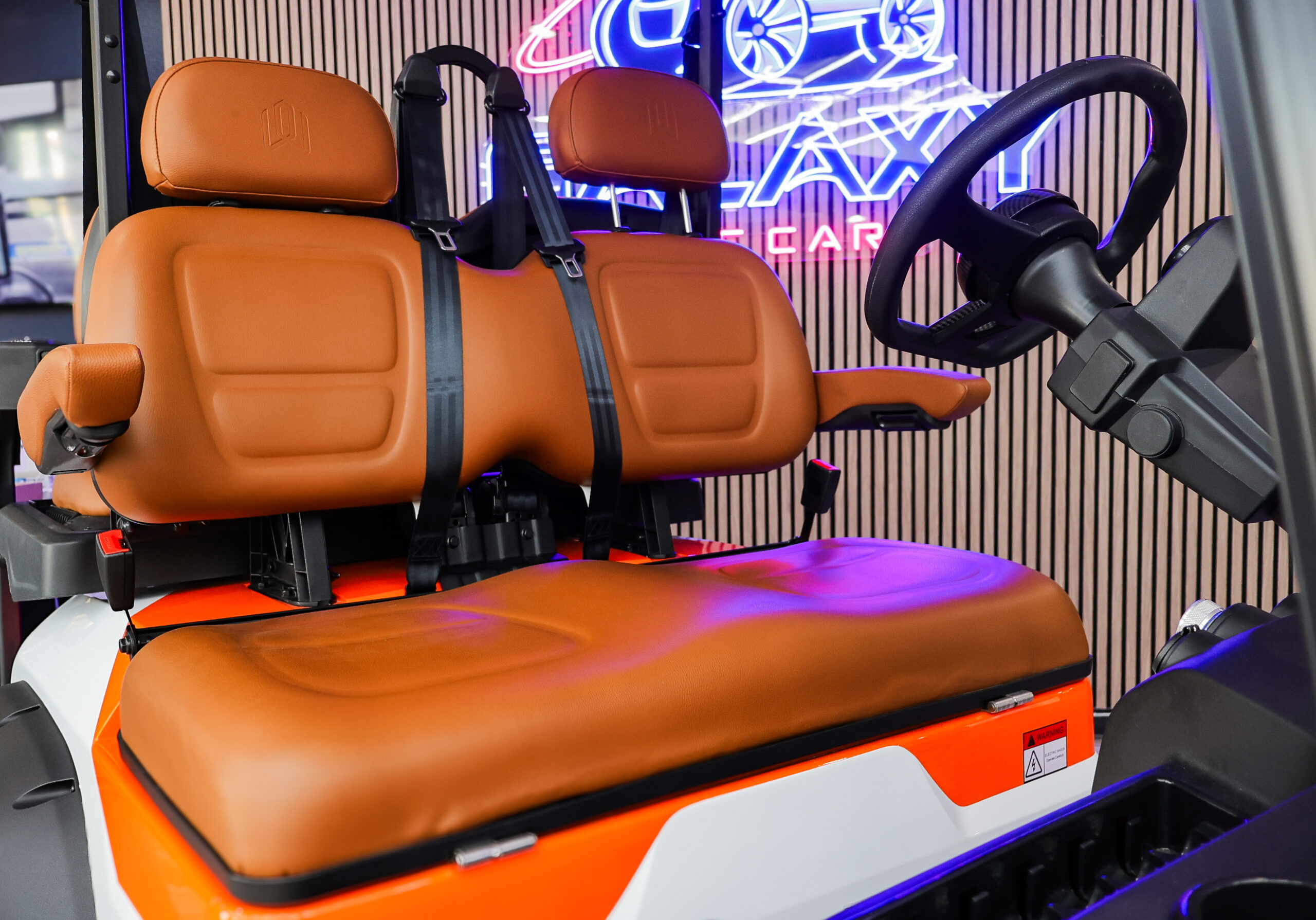 2026 Dach Falcon X Longhorn Golf Cart/LSV - Image 17