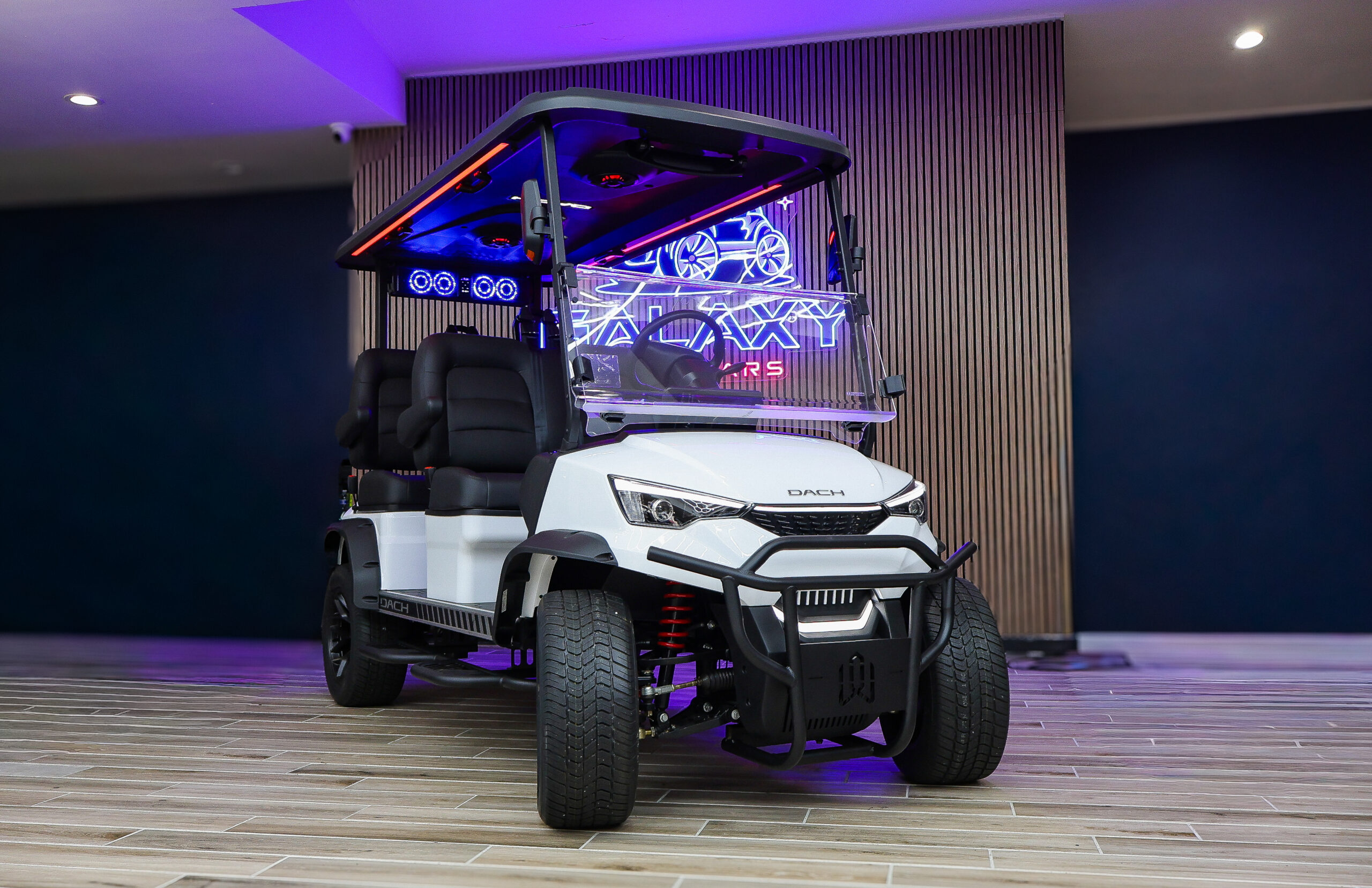 2026 Dach Apollo Golf Cart/LSV - Image 2
