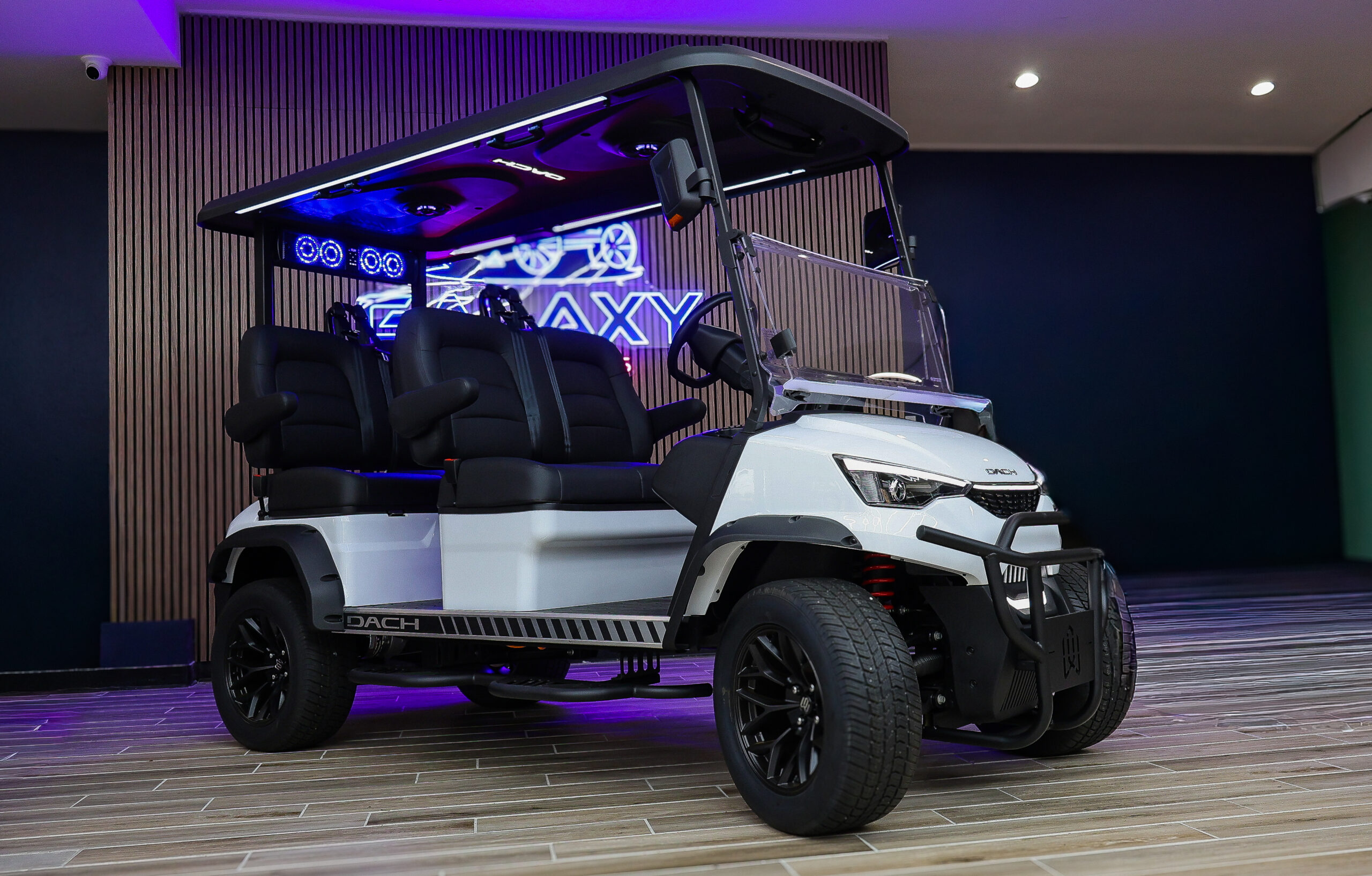 2026 Dach Apollo Golf Cart/LSV - Image 12
