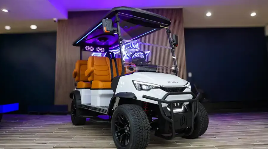 tan and white dach apollo